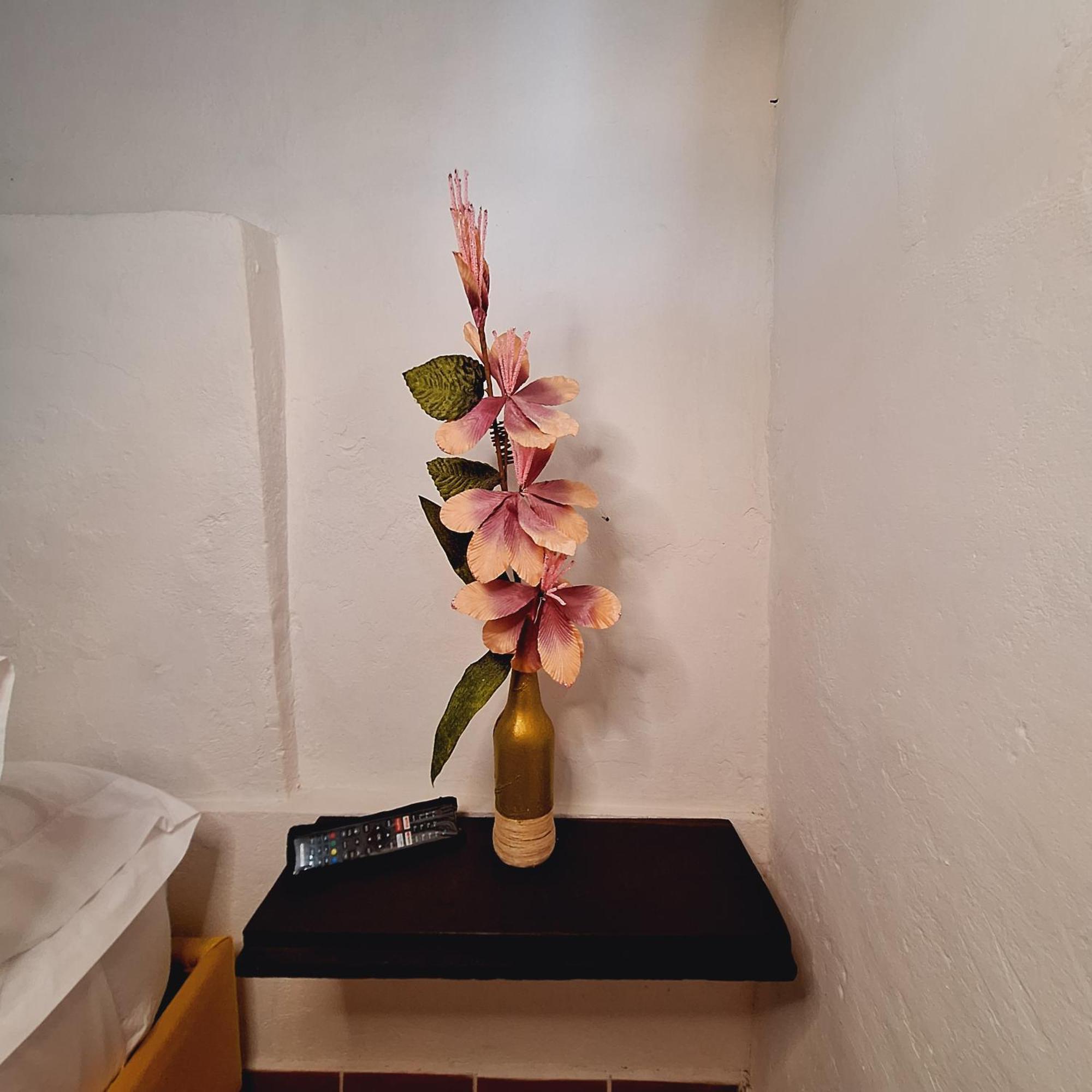 Hostal Colombian Gold 산힐 외부 사진